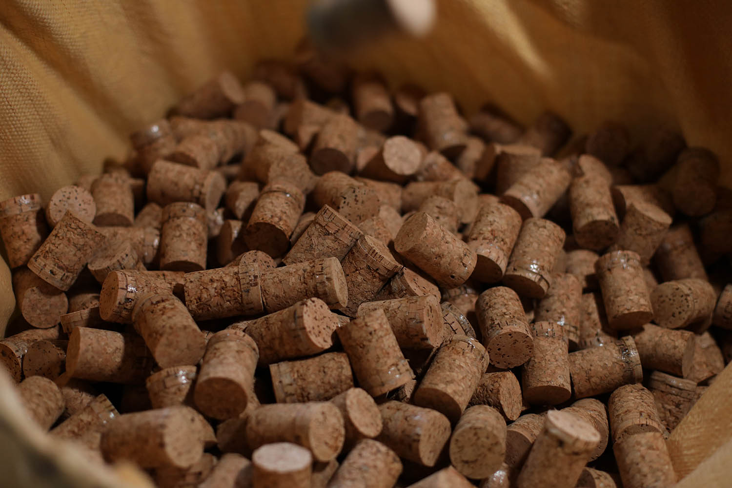 Agglomerated Cork